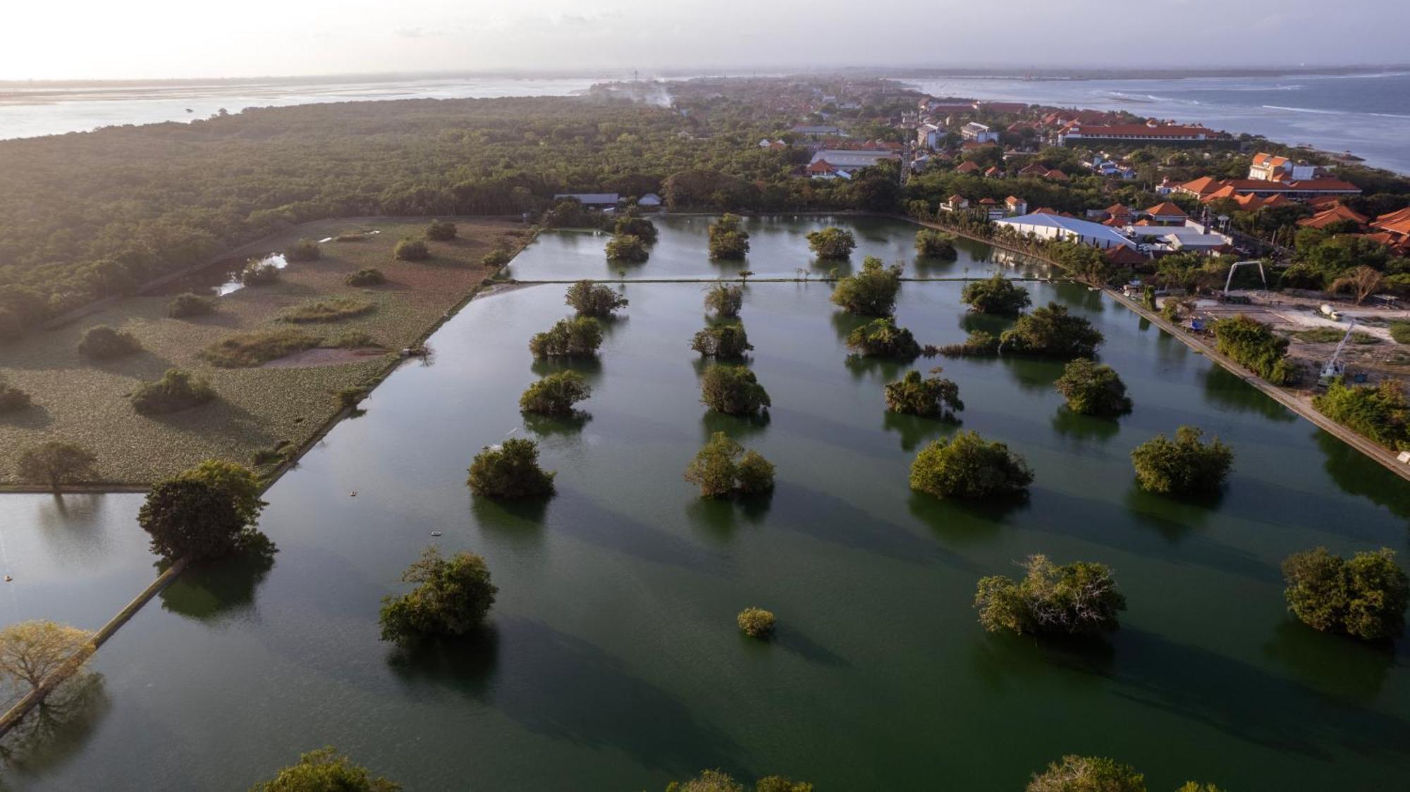 Bali Sunshine Nusa Dua Nusa Dua  Eksteriør billede